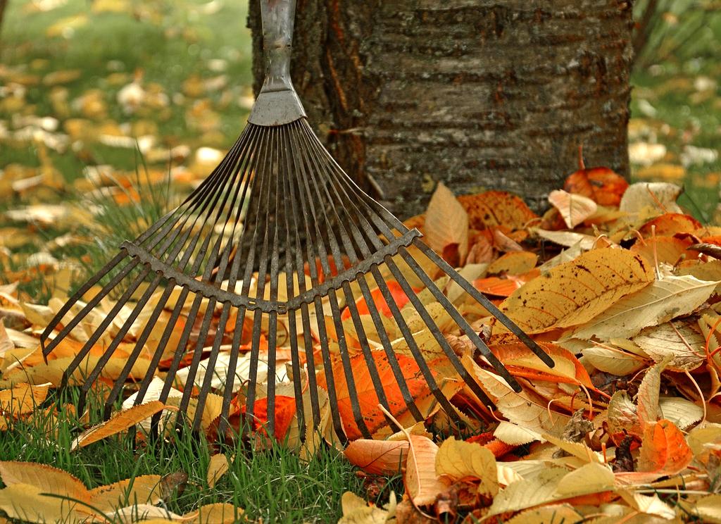 Quantum computing visualization